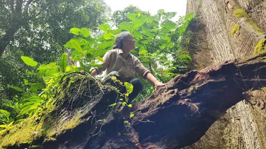 Pascale en expédition dans une forêt tropicale